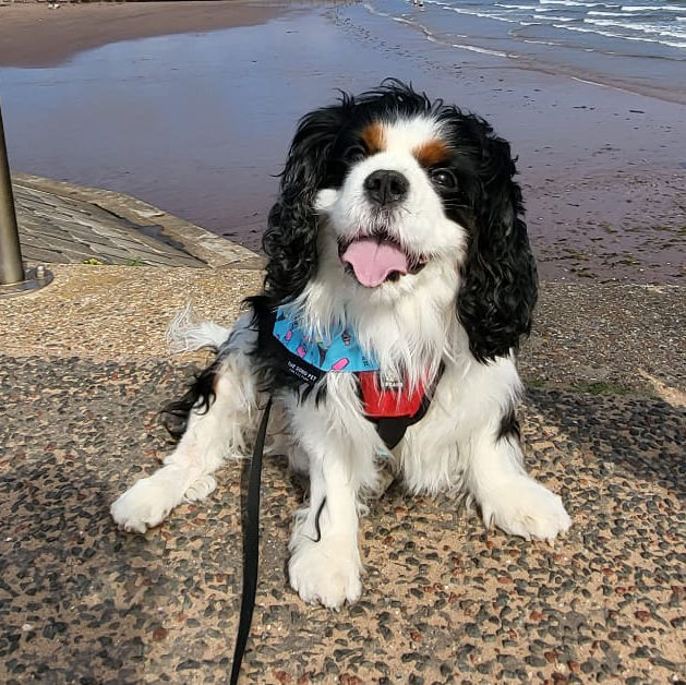 2024_2025 - Murphy - 18.jpg